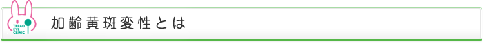 加齢黄斑変性とは