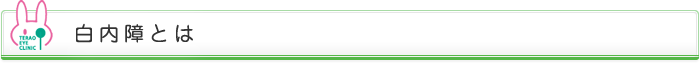白内障とは