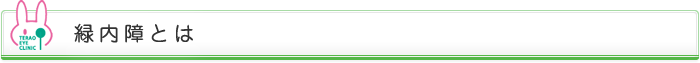 緑内障とは