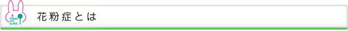 花粉症とは