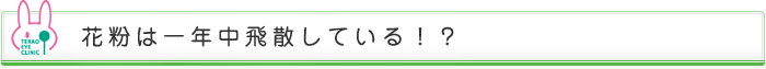 花粉は一年中飛散している！？